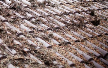 Brindwoodgate roof cleaning companies