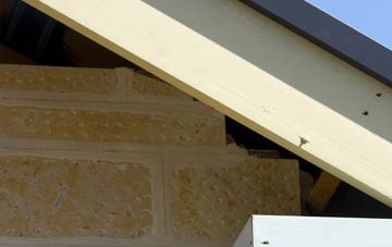 soffit repair Brindwoodgate